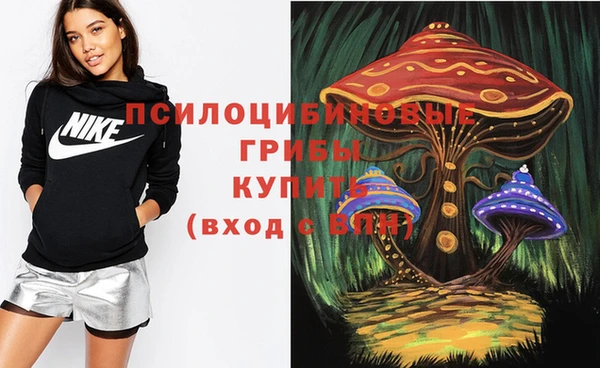 apvp Алзамай