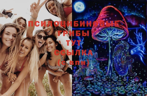 гашик Абинск