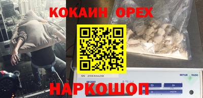 спиды Кимры