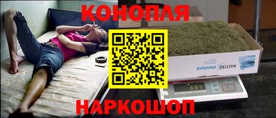 спиды Кимры
