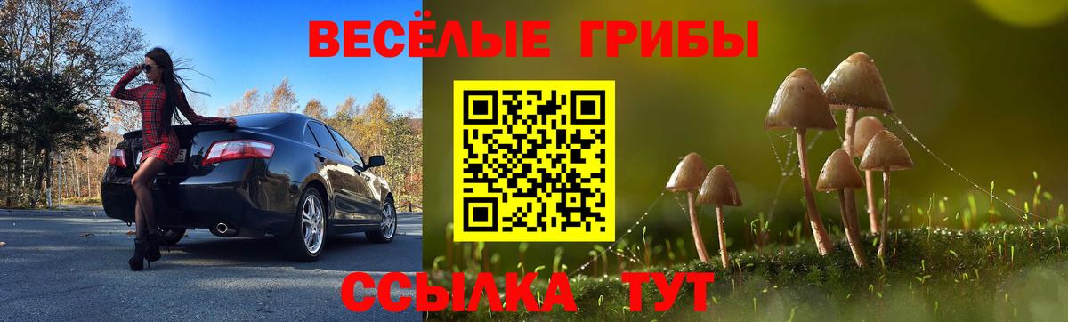 Псилоцибиновые грибы Psilocybe  Псилоцибиновые грибы прущие грибы  где найти наркотики  Тавда  Вход с VPN 