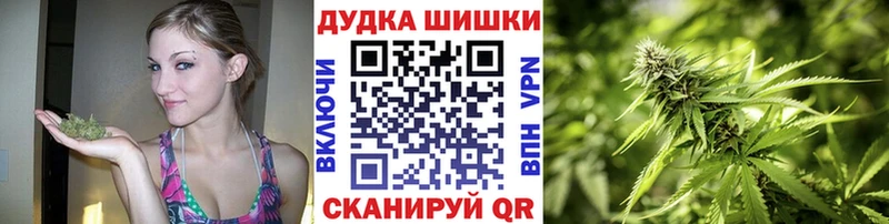 Бошки марихуана конопля  Тавда 